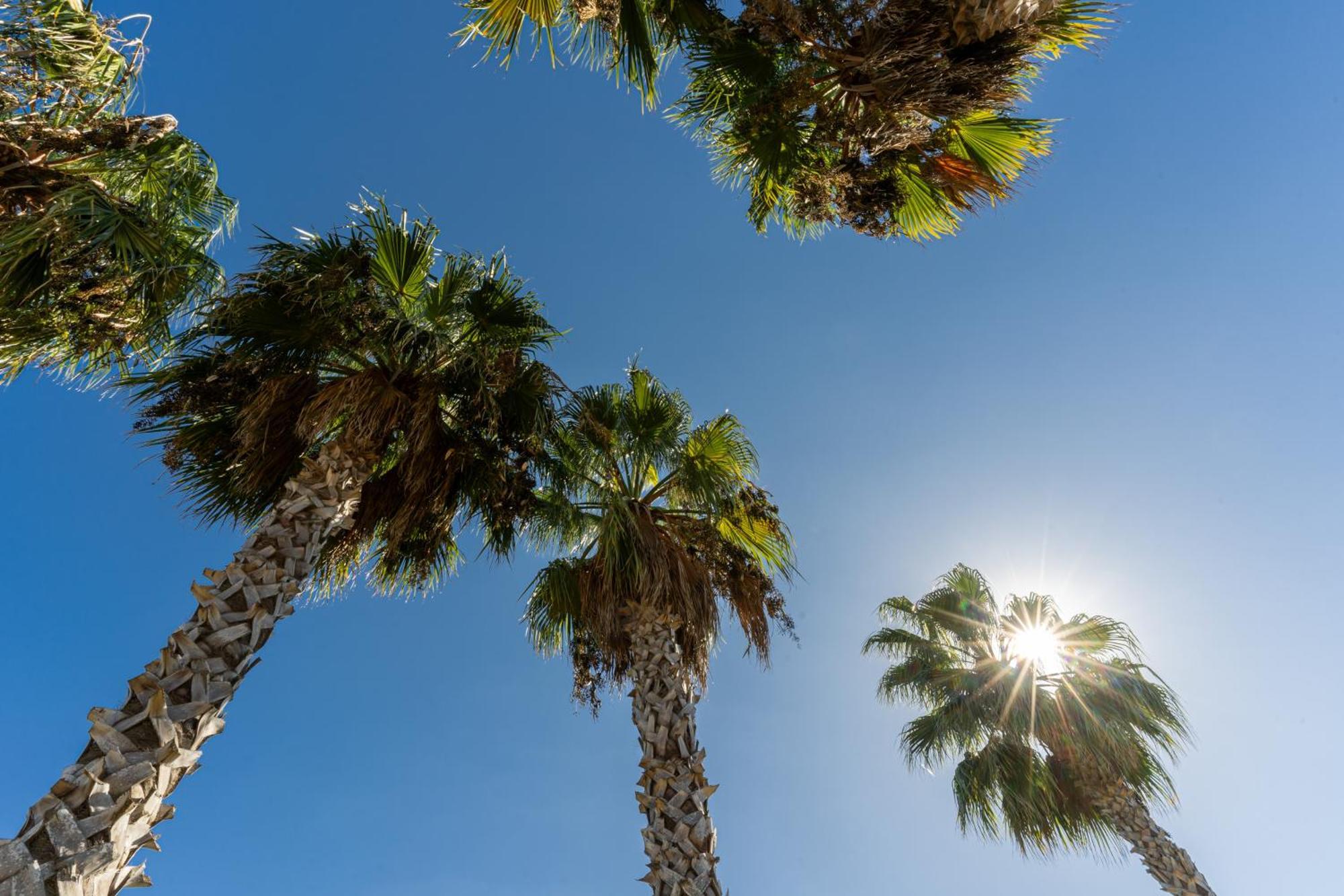 Hotel Masseria Le Pajare Presicce Dış mekan fotoğraf